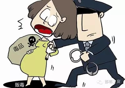 2016年初，涉縣警方查獲一起涉毒案件，鑒于該案涉案人員多、毒品交易量大，涉縣警方立即將案情上報(bào)，被公安部確立為“目標(biāo)-2016-314”號(hào)毒品案件。涉縣警方成立專案組，經(jīng)過多方追查，先后抓獲團(tuán)伙人員13名，繳獲毒品5349克，并查明上線“濮姐”的真實(shí)身份為陳某。